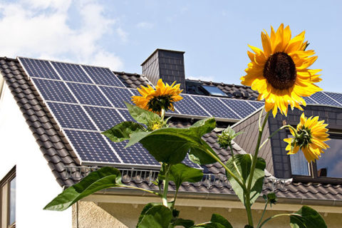 How Do Solar Panels Work? - Hollister Roofing