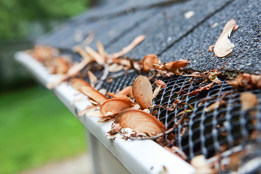 gutter guard to help roof maintenance