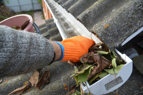 Gutter Cleaning